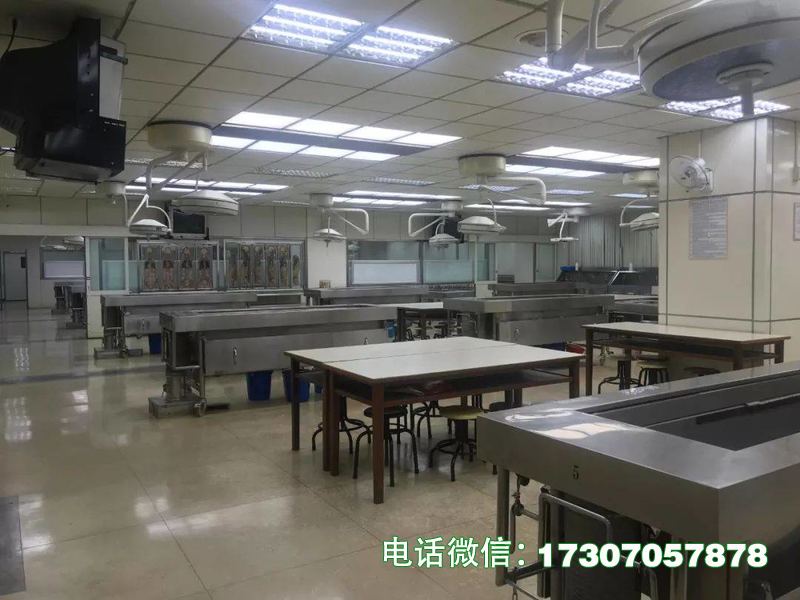 桥西实验解剖室