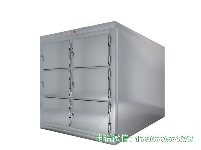 肥乡死人冷冻冰柜