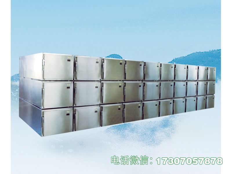 金城江多门组合尸体冰柜