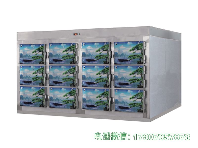 武强尸体冷冻柜