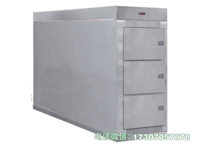 桥东存尸冷冻柜