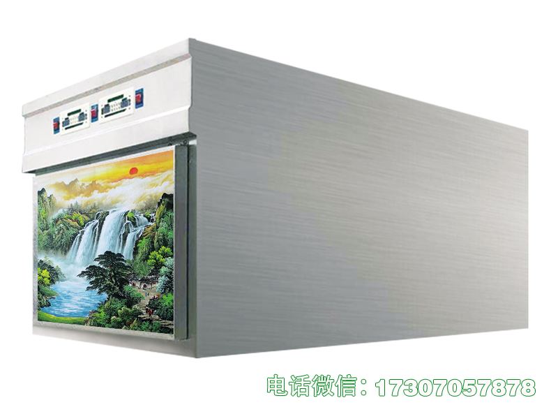 江洲单门车载冷冻柜