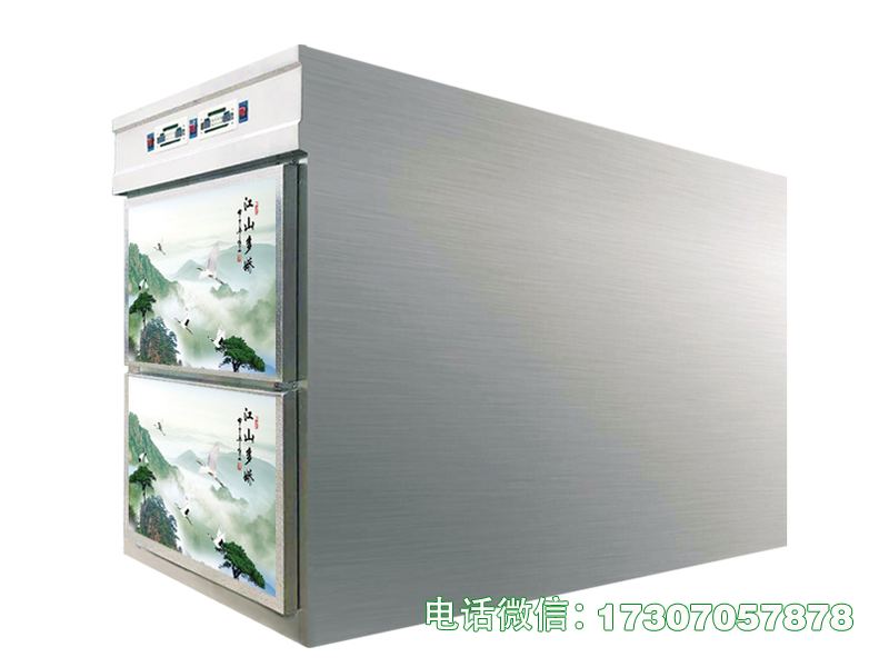 江洲二门一体冷冻柜