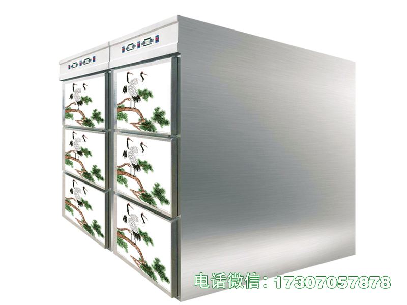 桃城六门一体冷冻柜